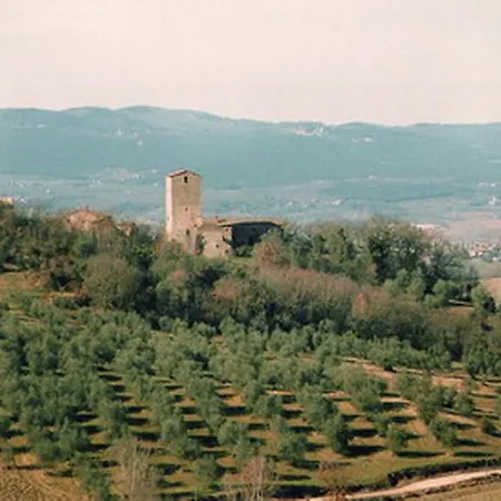 カントリーハウス Castello Di Grotti
